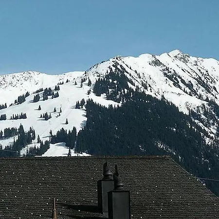 Saanen Sleeps 6 Wifi Διαμέρισμα *