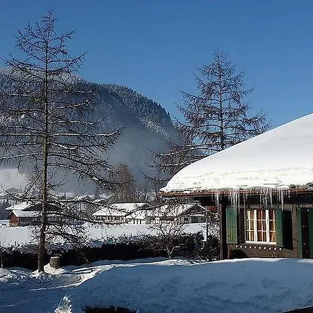 Saanen Sleeps 6 Wifi Апартаменты Гштад